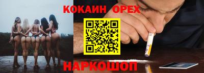 тгк Гай