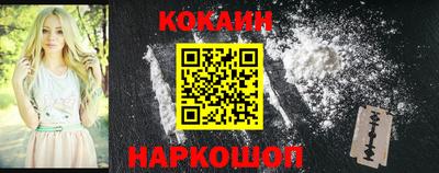 тгк Гай