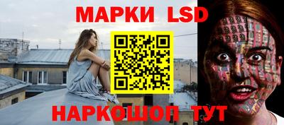 тгк Гай