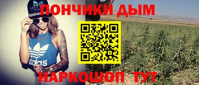 mdpv Гатчина