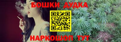 mdpv Гатчина