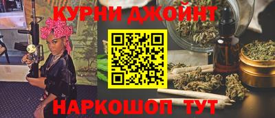 mdpv Гатчина