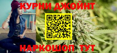 mdpv Гатчина