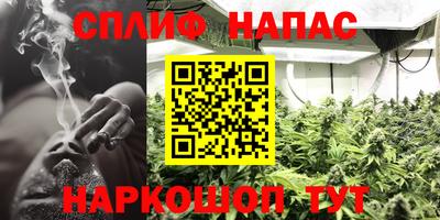 mdpv Гатчина