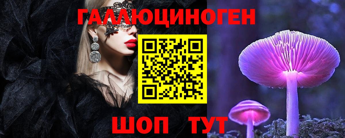 Нефтекумск  Псилоцибиновые грибы мицелий  Вход с VPN 